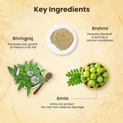 🌿 Jamalgota Ayurvedic Hair Growth Powder Buy 1 Get 1 Free🌿